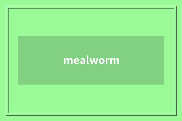 mealworm