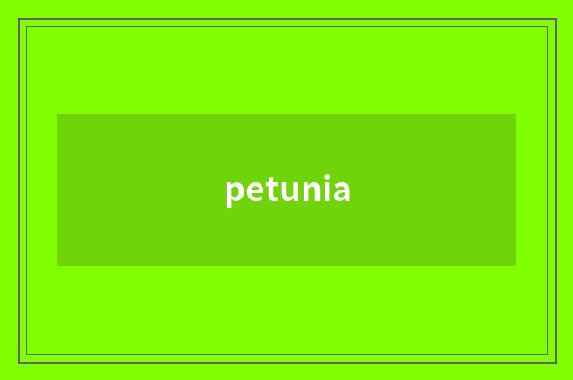 petunia
