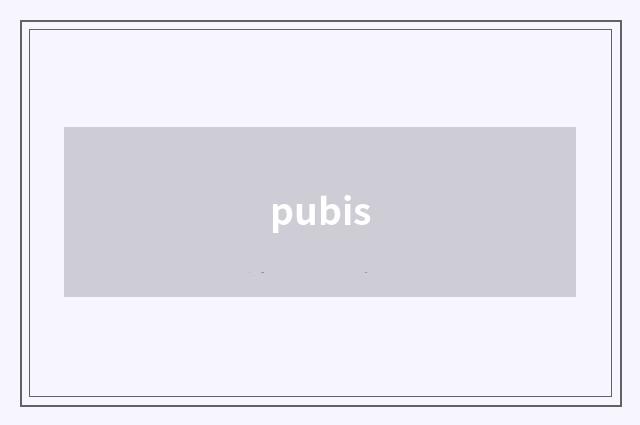 pubis
