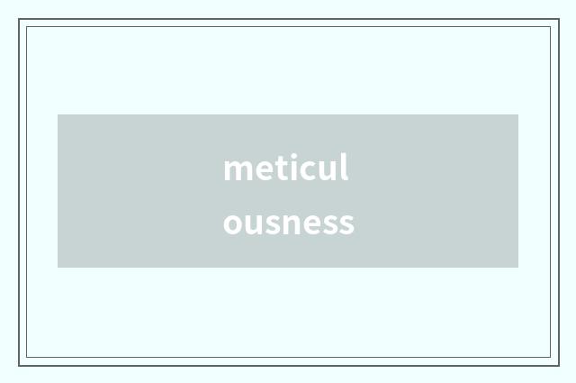 meticulousness