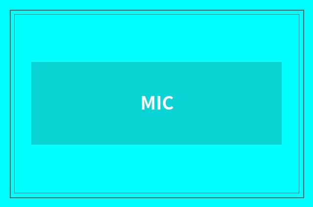 MIC
