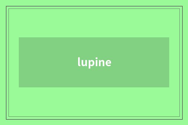 lupine
