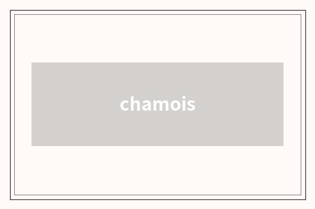 chamois