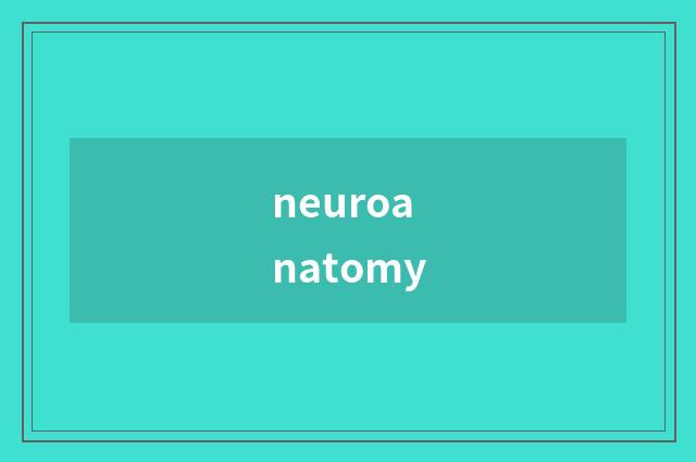 neuroanatomy
