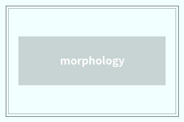 morphology
