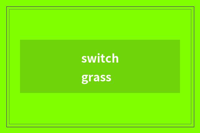 switchgrass