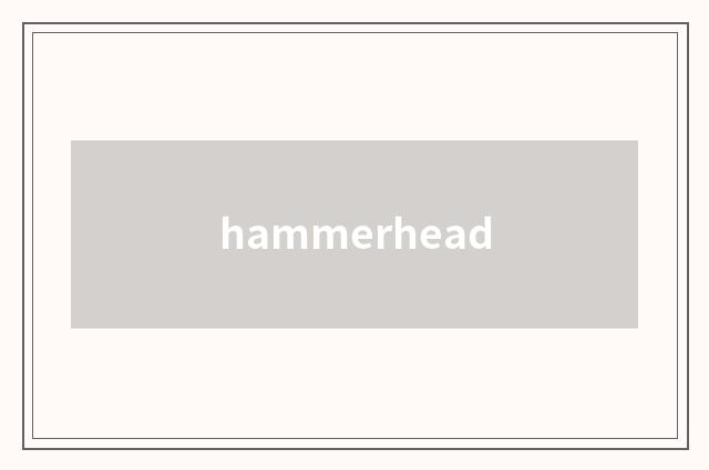 hammerhead