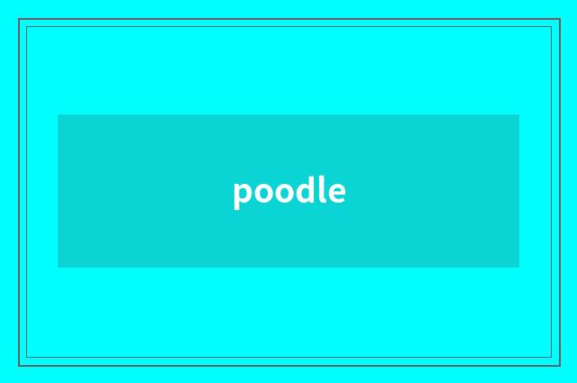 poodle