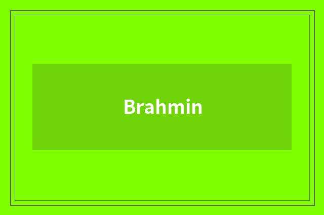 Brahmin
