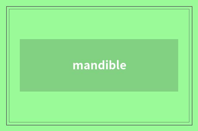 mandible