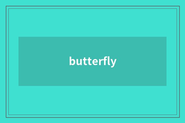 butterfly