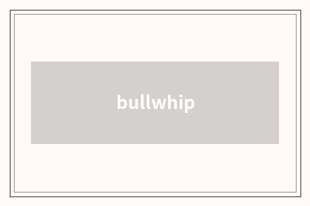 bullwhip