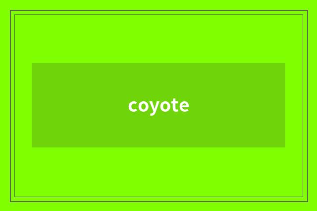 coyote