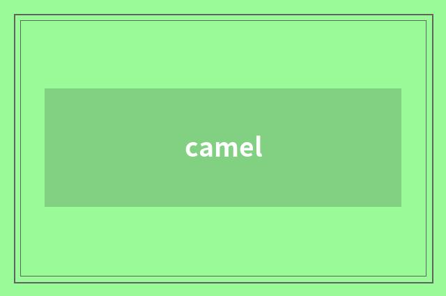 camel