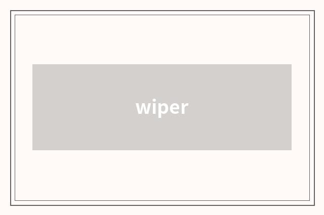 wiper