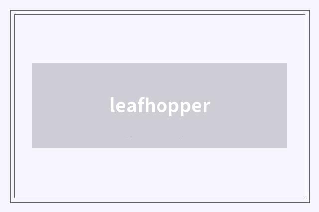 leafhopper