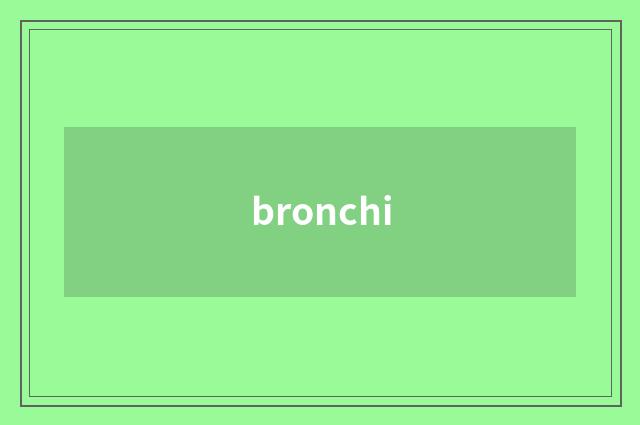 bronchi