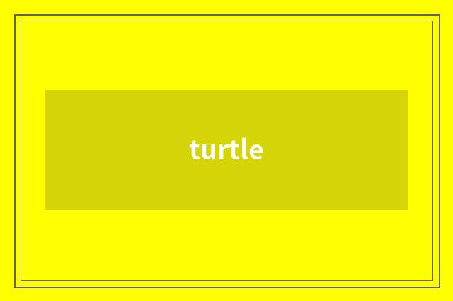 turtle