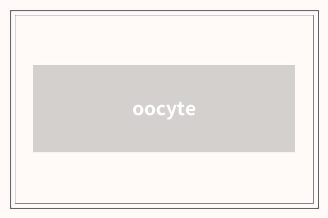 oocyte