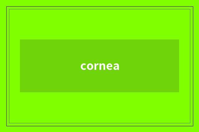 cornea