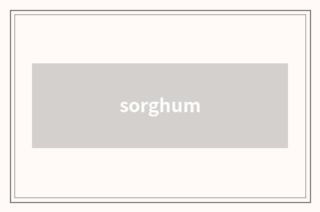 sorghum