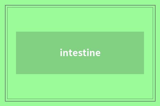 intestine