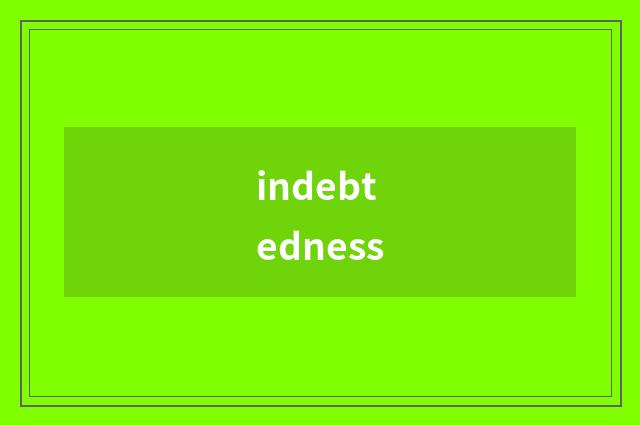 indebtedness