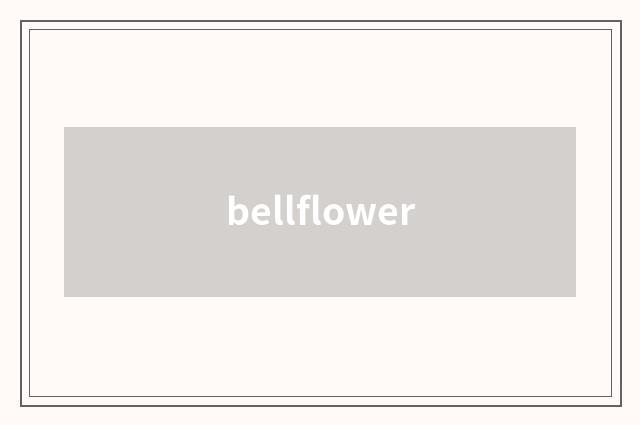 bellflower