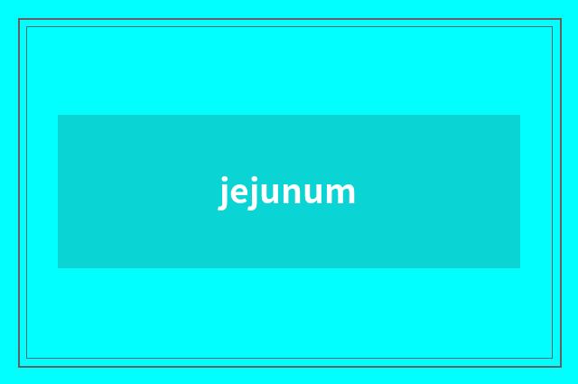 jejunum
