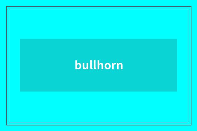 bullhorn