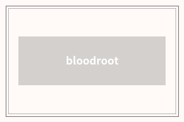 bloodroot
