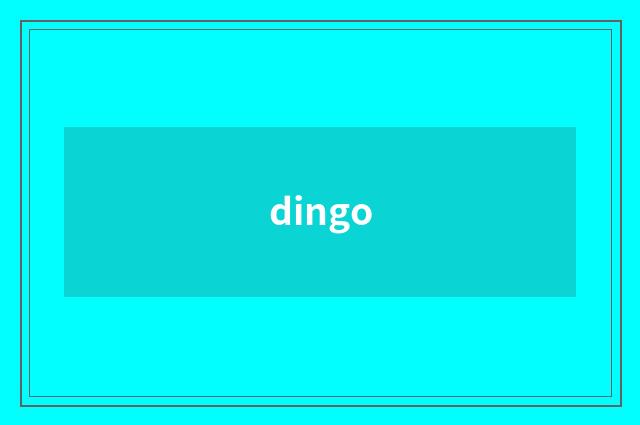 dingo