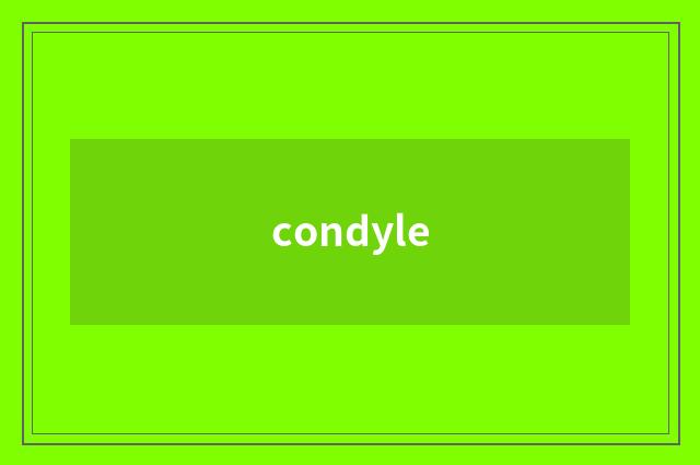 condyle