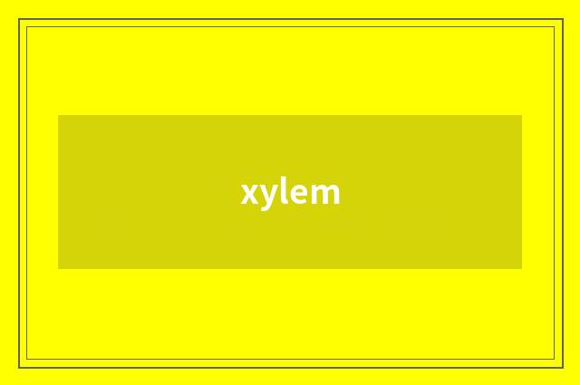 xylem