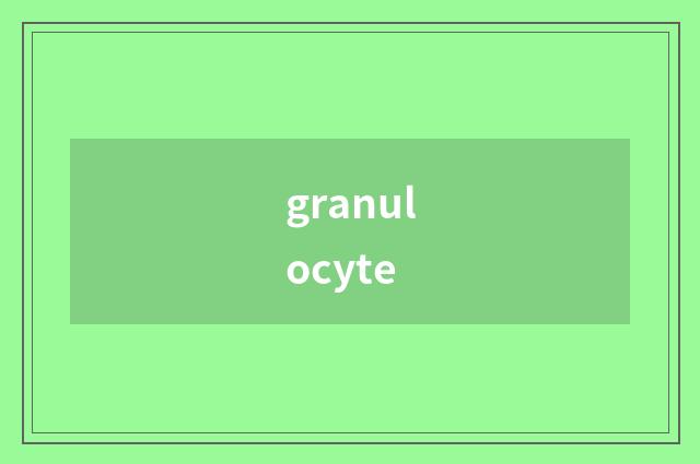 granulocyte