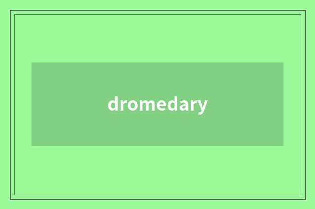 dromedary