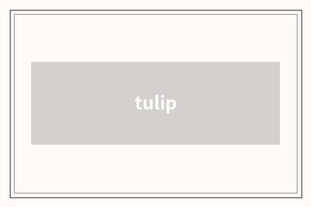 tulip