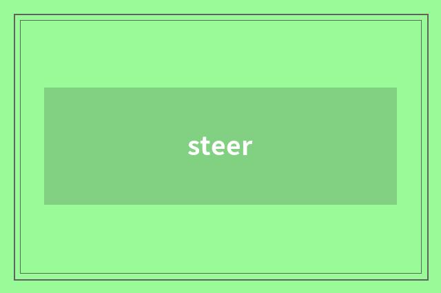 steer