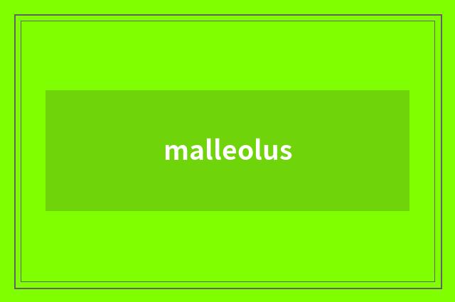 malleolus