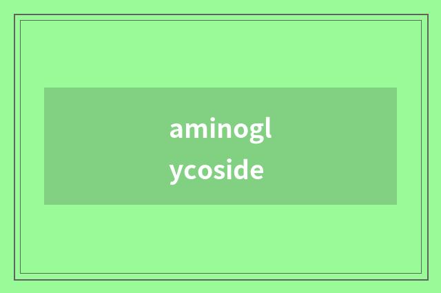 aminoglycoside