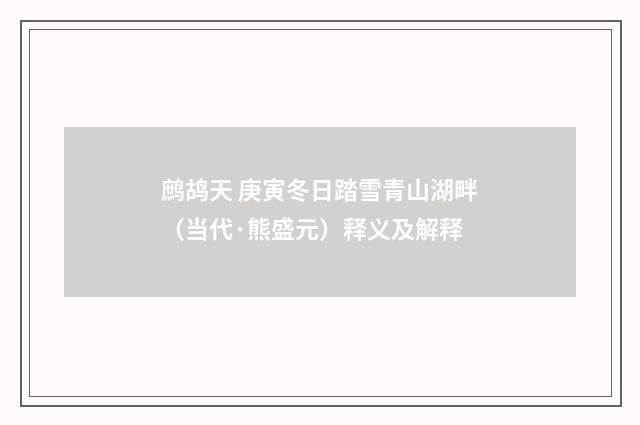 鹧鸪天 庚寅冬日踏雪青山湖畔（当代·熊盛元）释义及解释