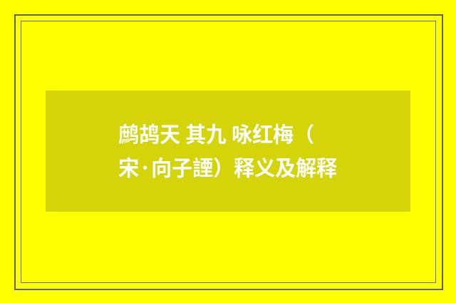 鹧鸪天 其九 咏红梅（宋·向子諲）释义及解释