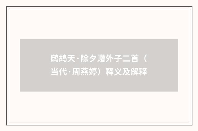 鹧鸪天·除夕赠外子二首（当代·周燕婷）释义及解释
