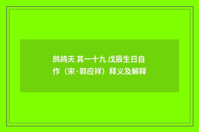鹧鸪天 其一十九 戊辰生日自作（宋·郭应祥）释义及解释