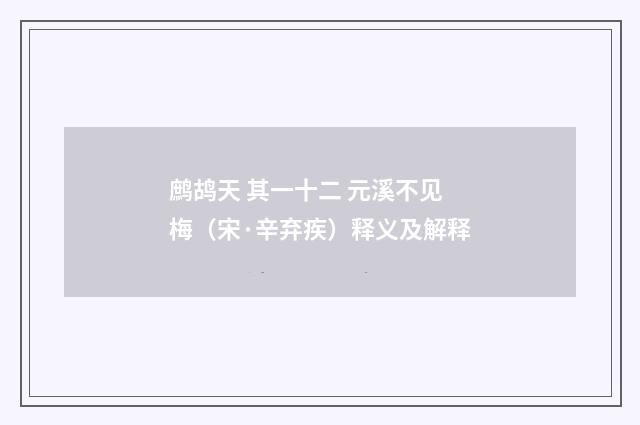 鹧鸪天 其一十二 元溪不见梅（宋·辛弃疾）释义及解释