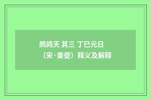 鹧鸪天 其三 丁巳元日（宋·姜夔）释义及解释