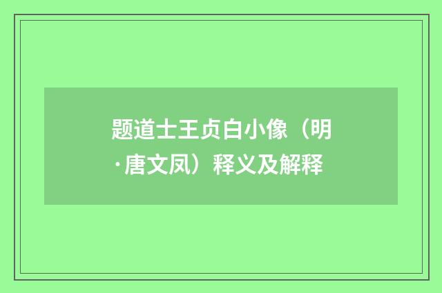 题道士王贞白小像（明·唐文凤）释义及解释
