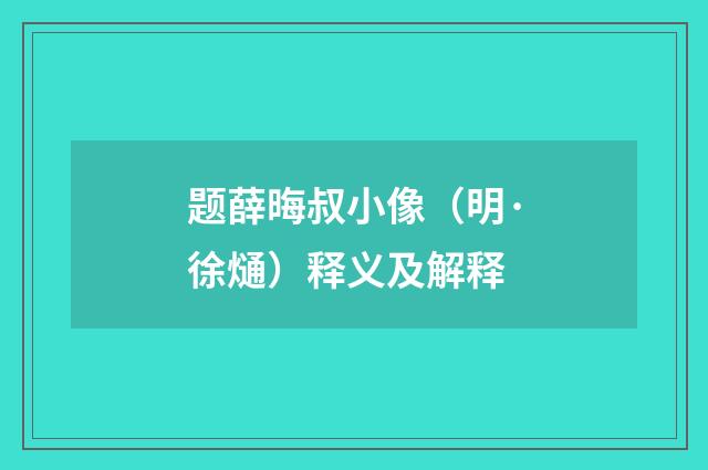 题薛晦叔小像（明·徐熥）释义及解释