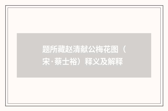 题所藏赵清献公梅花图（宋·蔡士裕）释义及解释