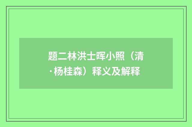 题二林洪士晖小照（清·杨桂森）释义及解释